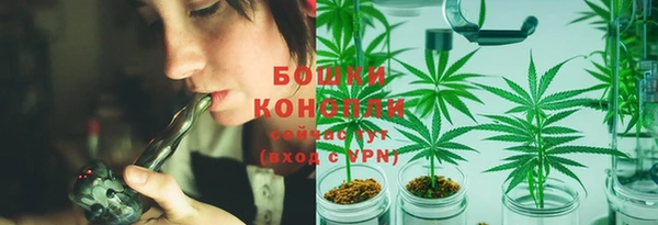 дмт Гусь-Хрустальный