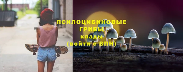 дмт Гусь-Хрустальный