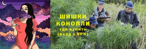 спайс Гусиноозёрск
