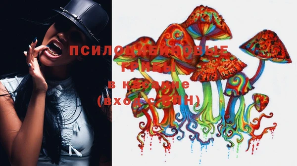 дмт Гусь-Хрустальный