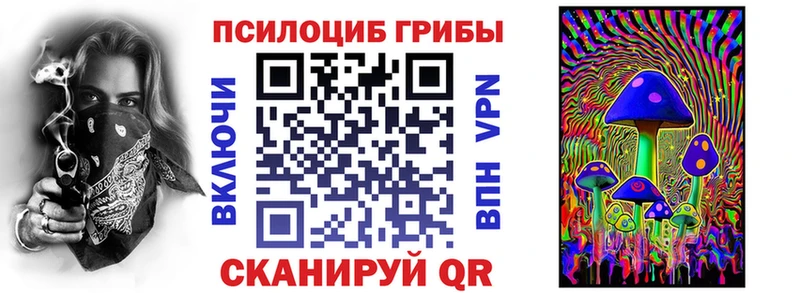 купить наркотик  блэк спрут ONION  Псилоцибиновые грибы Magic Shrooms  Сальск 